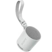 Sony Portable Bluetooth Speaker Light Grey