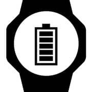 Casio WS-1500H-2AVDF DIGITAL Men's Watch