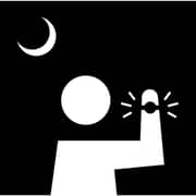 Casio WS-1500H-2AVDF DIGITAL Men's Watch