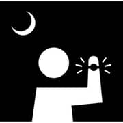 Casio LW-200-1AVDF STANDARD Women's Watch