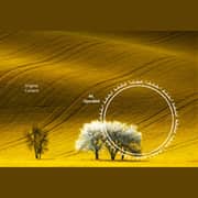تلفزيون UHD ال جي من سلسلة UR78 مقاس 86 بوصة 4K سمارت مع تقنية HDR و webOS وجهاز التحكم عن بعد السحري