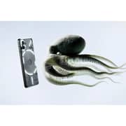 Nothing Phone (2) 256GB Dark Grey 5G Smartphone