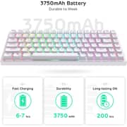 Royal Kludge RK84-THP-WH/BL Wireless Mechanical Keyboard - White/Blue