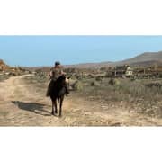 PS4 Red Dead Redemption Game