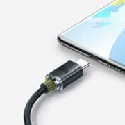 Baseus USB To Type-C 100W 1.2m Black