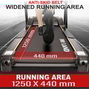 Skyland Fitness Treadmill EM-1255
