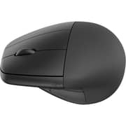 HP Ergonomic Vertical Wireless Mouse Black