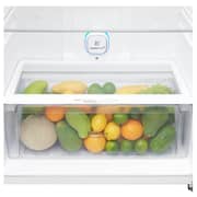 LG Top Freezer Refrigerator, GN-C782SGGL, 2024