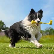 Insta360 G03 Fetch Stick Yellow