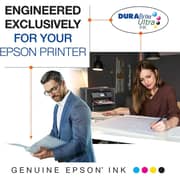 Epson 702 Standard Capacity Ink Cartridges 3-Pack - T702520-S