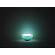 Philips Hue Go LED Lamp 20W