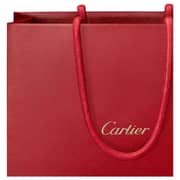 Cartier Pasha Perfume For Men 100ml Eau de Toilette