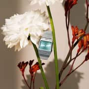 Casio AQ-800EC-2ADF Vintage Men's Watch