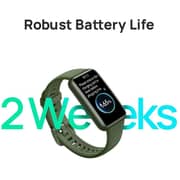 Honor Band 7 FLA-B19 Smart Wristband Meteorite Black