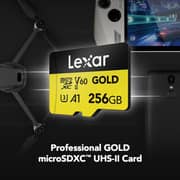 Lexar Professional Gold Memory Card UHS-II 256GB LMSGOLD256G-BNNNG