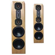Legacy Focus SE Passive Floorstanding Speaker - Pre-order