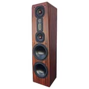Legacy Focus SE Passive Floorstanding Speaker - Pre-order