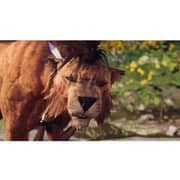 PS5 Final Fantasy VII Rebirth Game