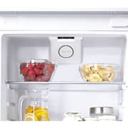 Candy Combi Built In Refrigerators 250 Litres CKBBF172KN