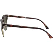 Rayban Clubmaster Classic Tortoise Gold Square Sunglasses For Women RB3016