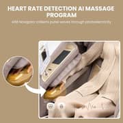Rotai Royal Magestic Pro Massage Chair A68