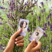 Fujifilm Instax Mini Instant Film 10pcs Soft Lavender