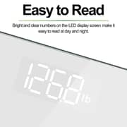 Renpho Digital Scale BG260R-WH