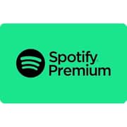 Spotify 3 Months Subscription Pin