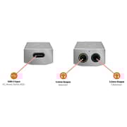 iFi Audio Portable DAC & Headphone Amplifier GO Bar Kensei