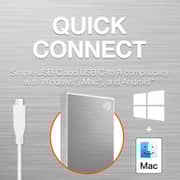 Seagate Portable Solid State Drive USB 3.2 1TB Silver STKG1000401
