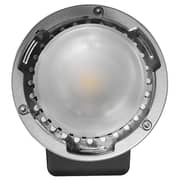 Godox Portable Flash Black