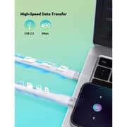 Ravpower Type-C To C Cable 1.2m White