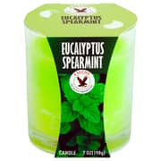 Falcon Eucalyptus Spearmint Green Candle