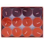 Falcon Scented Apple Cinnamon Red Candle 24 Pieces