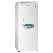Generaltec Upright Freezer 310 Litres GFU495