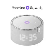Yasmina Y-00020 Human-Like AI Assistant in advanced Smart Speaker Mini Grey
