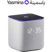 Yasmina Human-Like AI Assistant in advanced Smart Speaker Midi Grey
