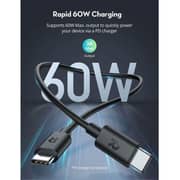 Wiwu RPCB1022 Type C Cable