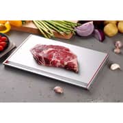 That Inventions Quick Food Defrosting Tray 1pc Set