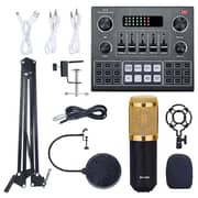 SE Maxx Multifunctional Sound Card With Bm800 Microphone Kit V9