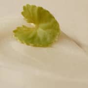 Axis-Y Dark Spot Correcting Glow Cream 50ml (Pack of 1pc)