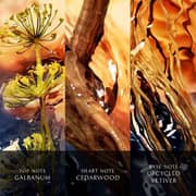 Davidoff Cool Water Reborn Perfume For Men 100ml Eau de Parfum