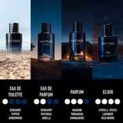 Dior Sauvage Perfume For Men 100ml