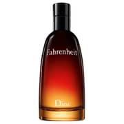 Dior Fahrenheit Perfume For Men 100ml Eau de Toilette