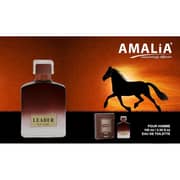 Amalia Leader Perfume For Men 100ml Eau de Toilette