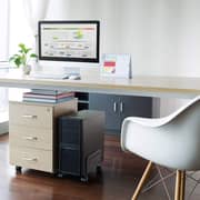 NewStar Adjustable Computer Tower Stand Black