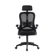WB Office Chair With Back Rest