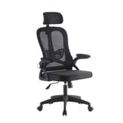 WB Office Chair With Back Rest