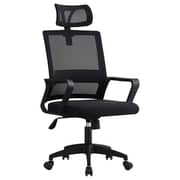 WB Office Chair With Back Rest