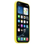 Apple MagSafe Silicone Case Star Fruit iPhone 16 Pro